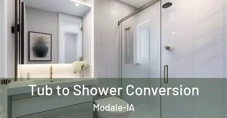 inner Bathroom imggen Tub to Shower Conversion Modale-IA