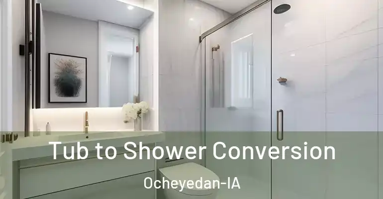 inner Bathroom imggen Tub to Shower Conversion Ocheyedan-IA