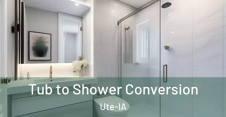 inner Bathroom imggen Tub to Shower Conversion Ute-IA