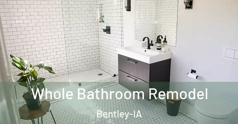 inner Bathroom imggen Whole Bathroom Remodel Bentley-IA