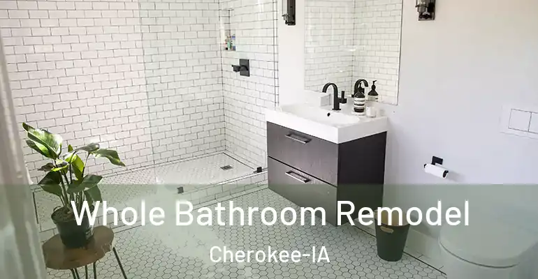 inner Bathroom imggen Whole Bathroom Remodel Cherokee-IA