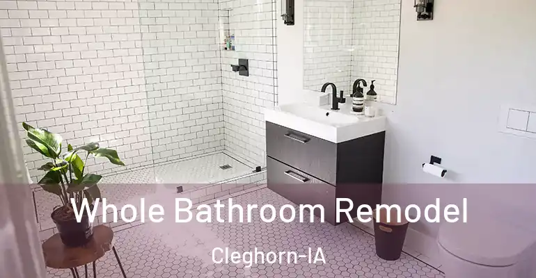 inner Bathroom imggen Whole Bathroom Remodel Cleghorn-IA