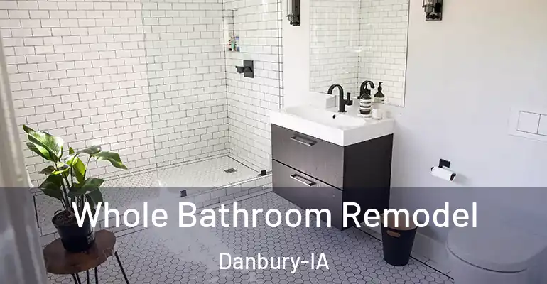 inner Bathroom imggen Whole Bathroom Remodel Danbury-IA