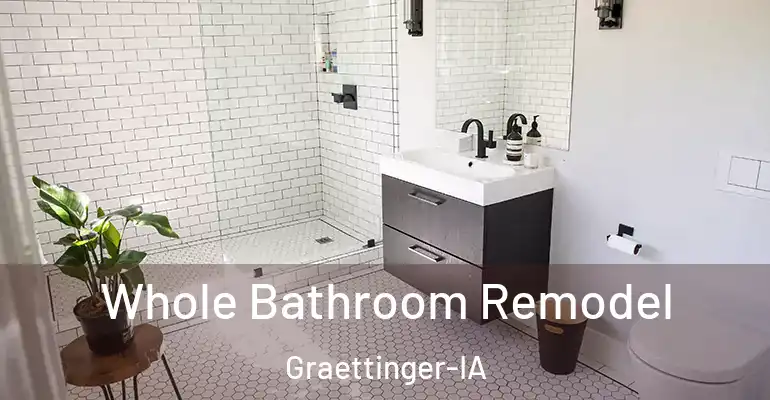 inner Bathroom imggen Whole Bathroom Remodel Graettinger-IA