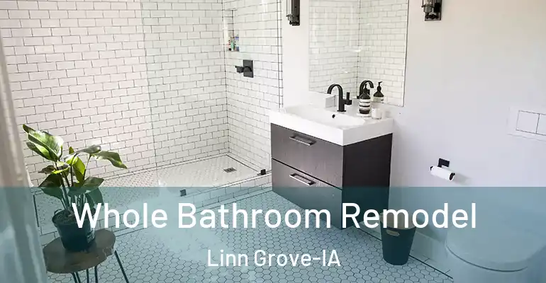 inner Bathroom imggen Whole Bathroom Remodel Linn Grove-IA