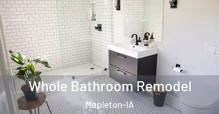 inner Bathroom imggen Whole Bathroom Remodel Mapleton-IA