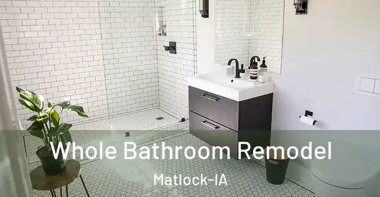 inner Bathroom imggen Whole Bathroom Remodel Matlock-IA
