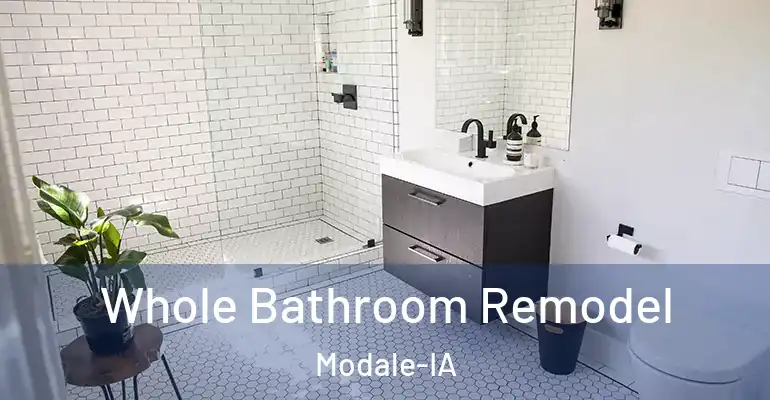 inner Bathroom imggen Whole Bathroom Remodel Modale-IA
