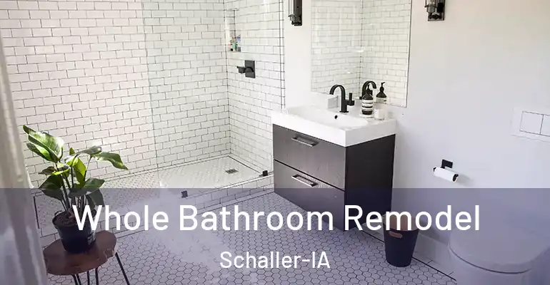 inner Bathroom imggen Whole Bathroom Remodel Schaller-IA