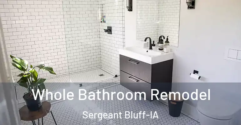 inner Bathroom imggen Whole Bathroom Remodel Sergeant Bluff-IA