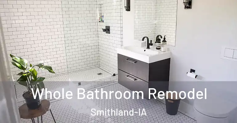 inner Bathroom imggen Whole Bathroom Remodel Smithland-IA